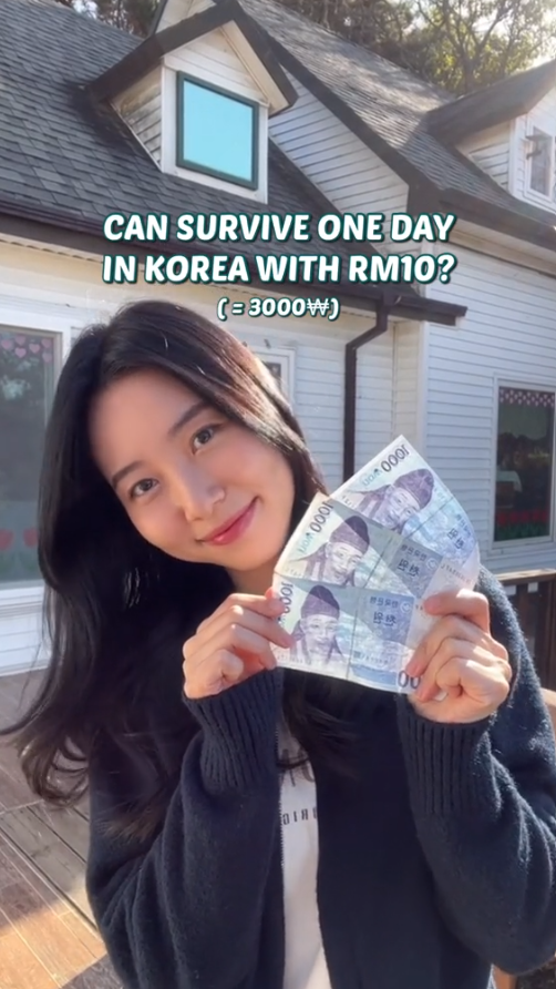 Video creator Tara Choi shows Malaysians how they can survive on RM10 a day in South Korea. Image credit: tara_choi_